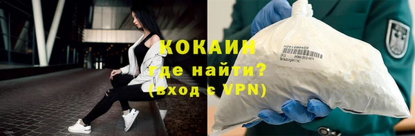 стафф Дмитриев
