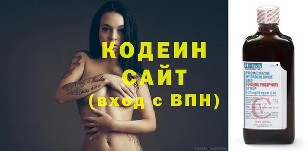 индика Кукмор