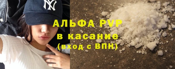 стафф Дмитриев