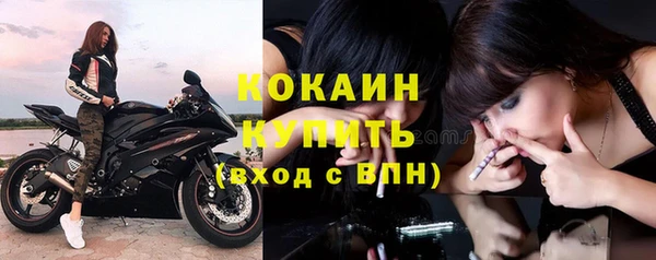 стафф Дмитриев
